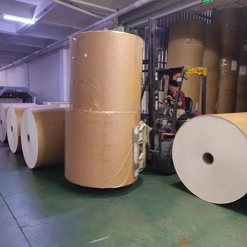 Paper in Roll